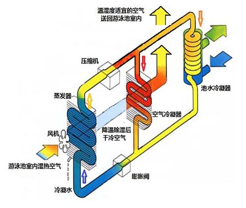 潘馬普（Permapool）泳池除濕熱泵 集除濕、恒溫、環境提升于一體的熱能解決方案